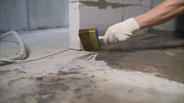 SJ Waterproofing Pros Waterproofing coverage map for Roanoke, IL and surrounding area